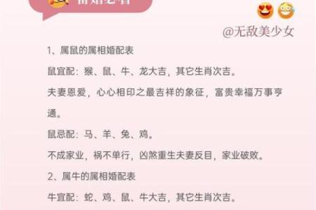 生肖配对姻缘鸡与属马的合吗 属相鸡跟马配不配？