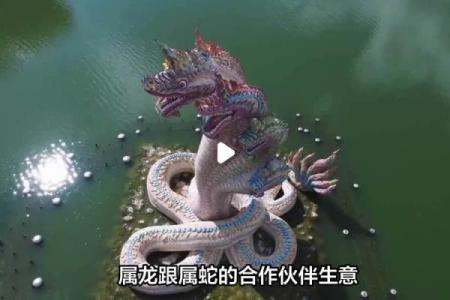 婚姻配对属龙和属蛇姻缘怎么样