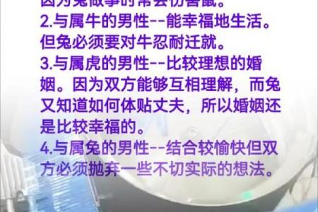 兔和什么属相配对幸福