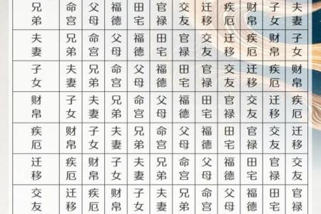 紫薇斗数大子女