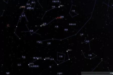 紫云派紫微斗数资料 紫云星是什么意思？