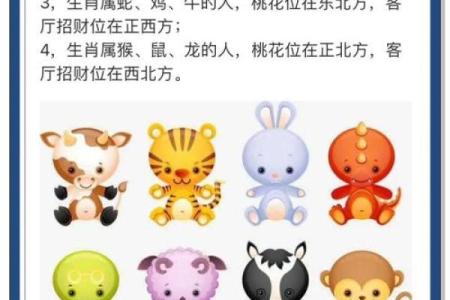 财位、桃花在商业办公室风水的作用