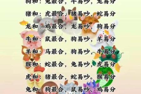 婚姻配对属龙和属猪姻缘怎么样
