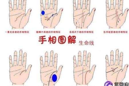 生命线算命：手掌上的玄机真能预测你的命运？