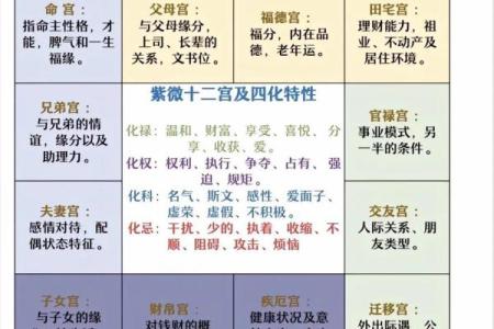 紫薇斗数12宫对照表