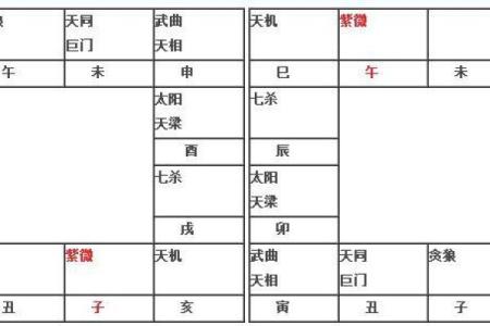 紫微斗数排盘流年 紫微斗数排盘流年盘怎么看？