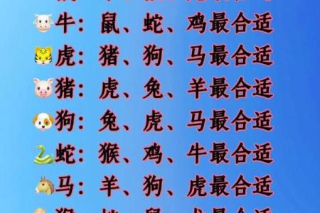 属相配对表