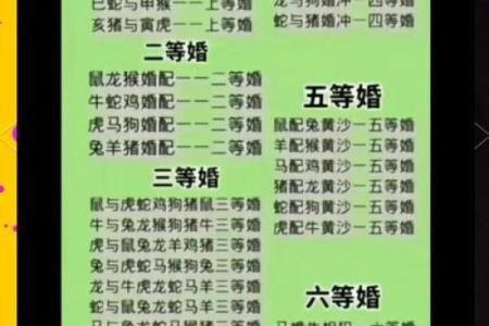 属猪的婚姻配对最佳 属猪的婚配宜忌