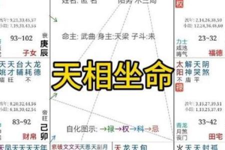 紫薇斗数紫薇天相