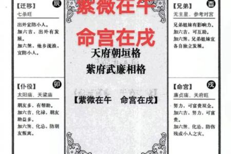 紫薇免费算命准不准？详解紫薇的命理学特点
