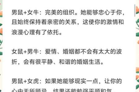 90属马人和96属鼠人配对  两人可以结婚吗