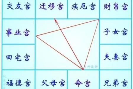 紫薇斗数相貌身材