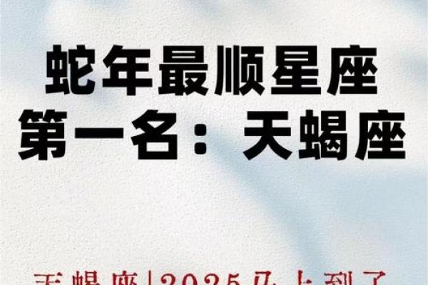 最佳合伙人的天蝎座配对