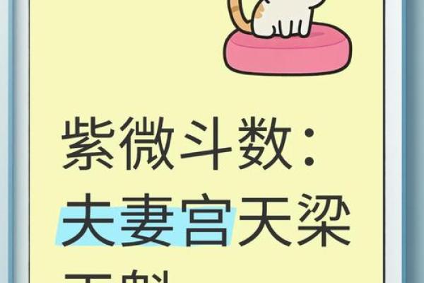 紫薇斗数夫妻际遇