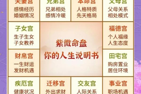 紫微斗数财运为负 紫微斗数看财运级别？