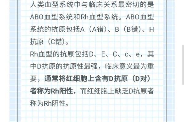 自我改造与血型解析