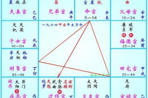 紫薇斗数看相貌宫位