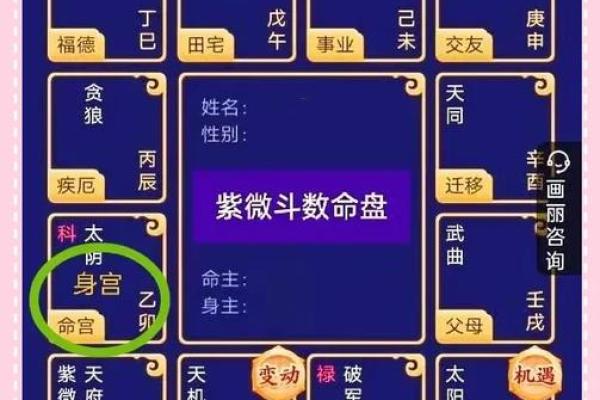 紫薇斗数看相貌宫位