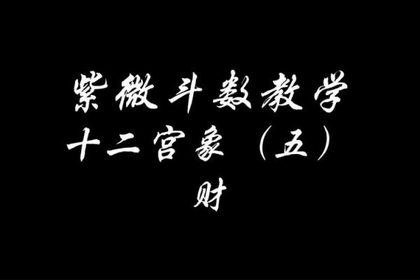 紫薇斗数财帛宫天月