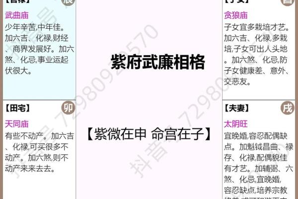 紫薇斗数时间