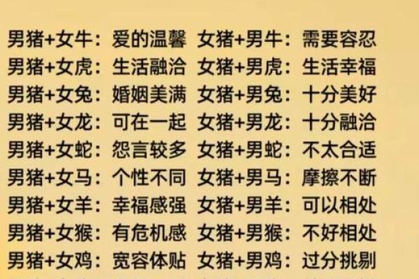 95男猪96女鼠相配吗 配对指数有多高