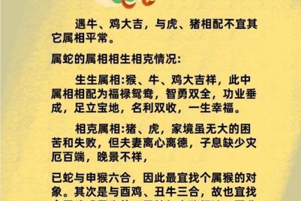 属马女性配对大揭秘：羊男VS狗男，成功婚姻密码在哪？