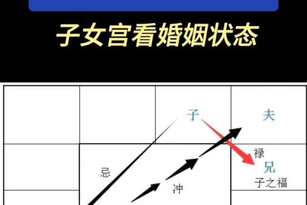 紫薇斗数看胸围