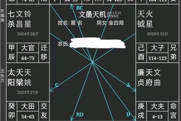 紫薇斗数看胸围