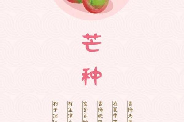 2024年芒种的财神方位在哪？芒种节气的三个物候现象