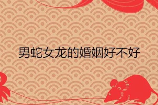 属龙的女人和什么属相最配对 属龙的女人和什么属相最配婚姻