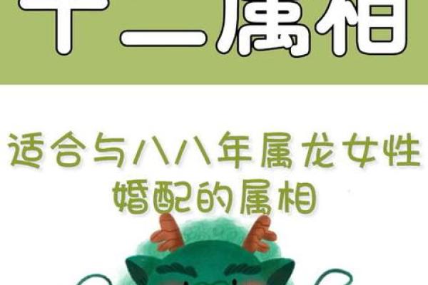龙生肖配对姻缘 龙生肖配对排名？