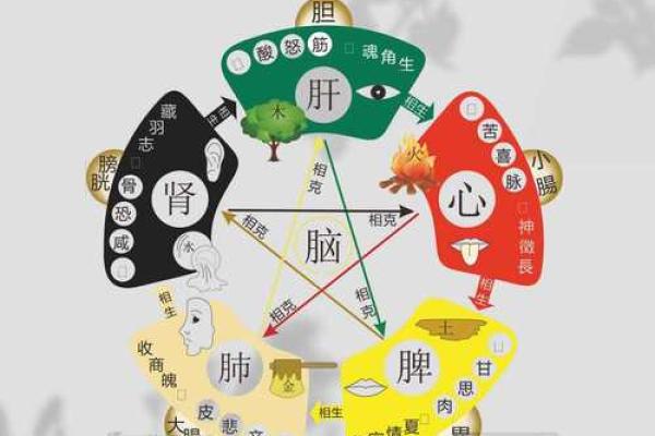 阴阳五行是八字命理的基础