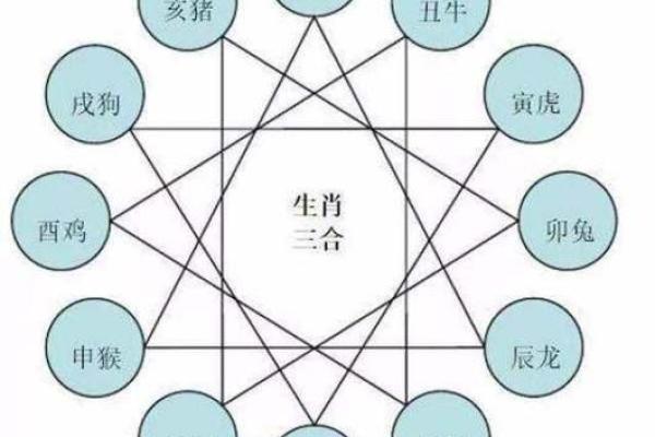 十五生肖：探索属鼠者的个性特征和相性配对