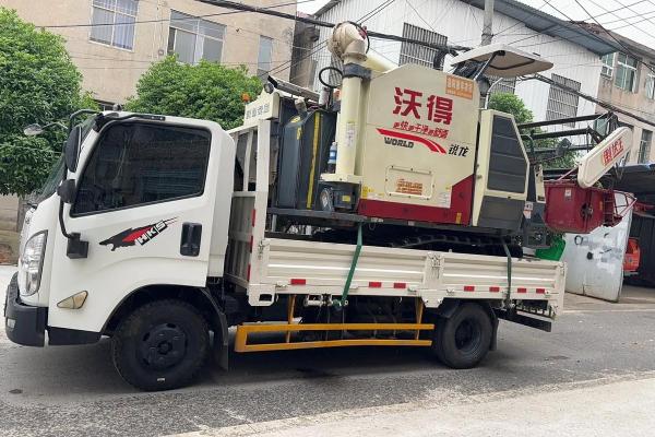 什么样的八字能成为鲜肉收割机