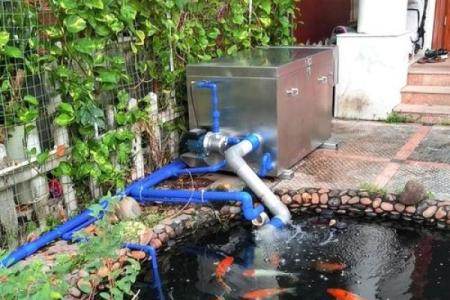 楼顶养鱼 风水