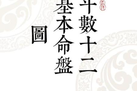 紫薇斗数下载