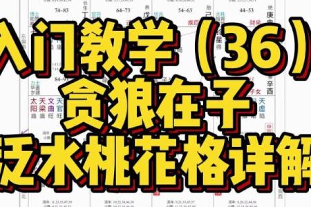 泛水桃花八字