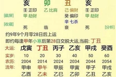 八字辰时生的人怎样