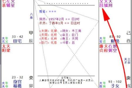 紫薇斗数富豪命
