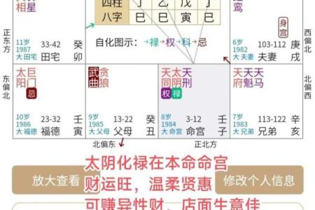 紫微财运曲线 紫微斗数测财运神巴巴？