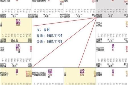 紫微斗数中，天同星的性质和含义