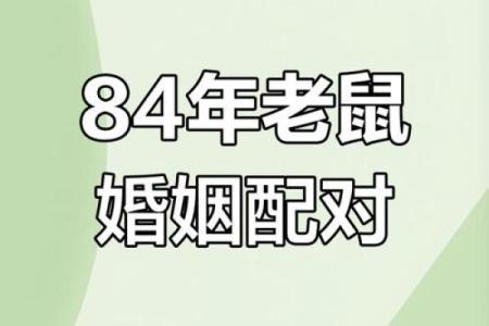 属鼠女金牛座配对合适吗