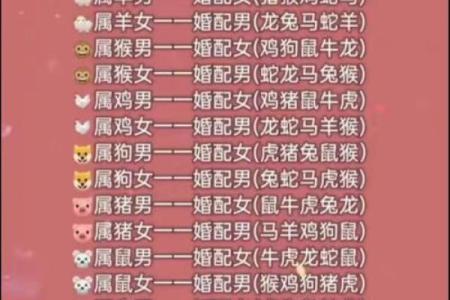 属相婚配十二生肖配对图表，属相婚配十二生肖配对图表图片？