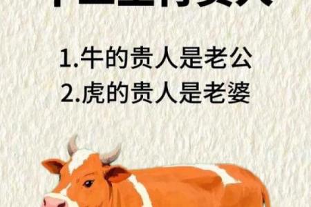 属牛和属牛的适合做夫妻吗 属牛夫妻配对可行吗