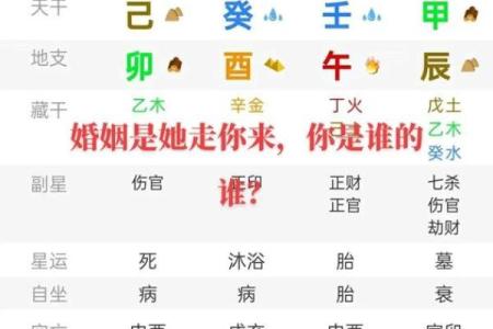 八字中透干算命意思