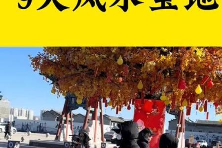 什么风水_风水绝佳什么意思