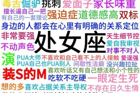双子处女座配对分析