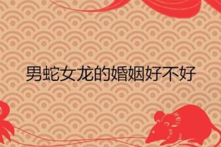 属龙的女人和什么属相最配对 属龙的女人和什么属相最配婚姻