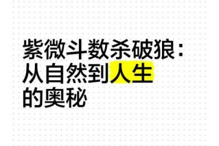 紫薇斗数三方是杀破狼