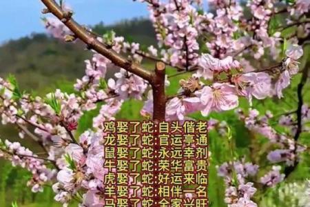 属蛇正缘出现在哪年 属蛇人婚姻配对表